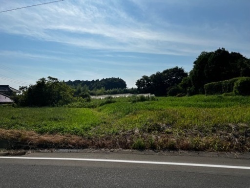 茨城県内　草刈り　格安でやります