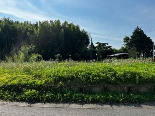 茨城県内　草刈り　格安でやります