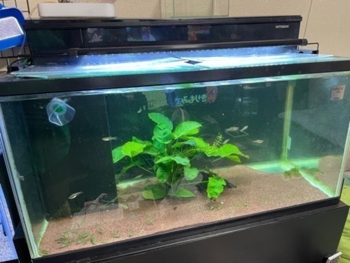 90cm 水槽セット