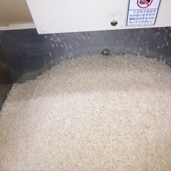 コシヒカリ無洗米　30kg 有機栽培米