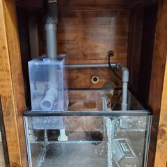 40×40×50キューブハイオーバフロー水槽セット