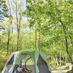 【お取引成立】コールマン コルテスオクタゴン テント
 coleman  Cortes Octagon8  