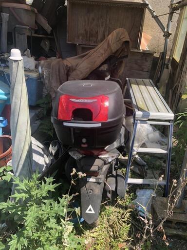 バイクスクーター不動125か？250？
