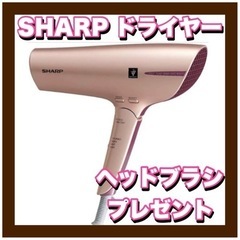 ❤️新品❤️SHARPプラズマクラスタードライヤー IB-JP9-N