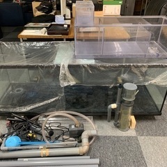 大型水槽 底面ブラック水槽