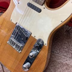 お買い得！ Squier by Fender BULLET TELE フェンダー◆エレキ◆取りに来て頂ける方♪ お買い得！ Squier by Fender BULLET TELE フェンダー◇エレキ◇取りに