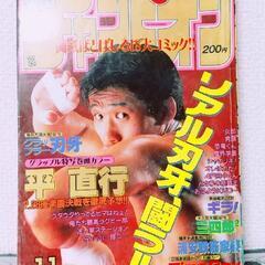1993年 11号 週刊少年チャンピオン