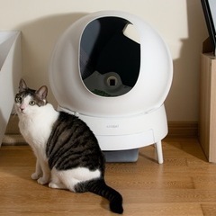Aimicat  猫用自動トイレ