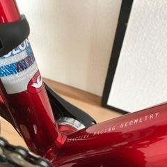 早い者勝ち　美品　チネリCinelli Experience 2019年
