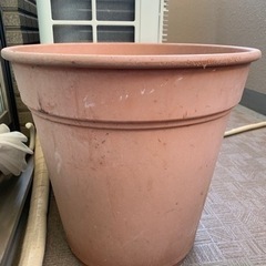 大き目　植木鉢