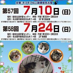 7/24(日)　猫の譲渡会　in　名古屋市昭和生涯学習センター