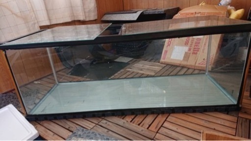 1200水槽　熱帯魚　大型魚