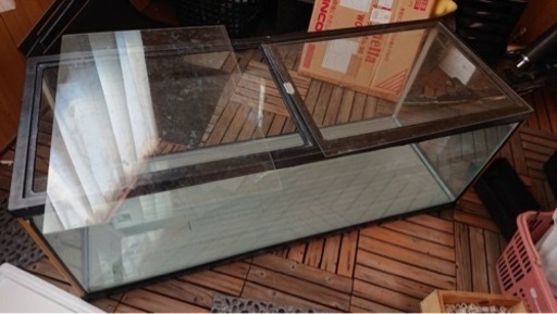 1200水槽 熱帯魚 大型魚