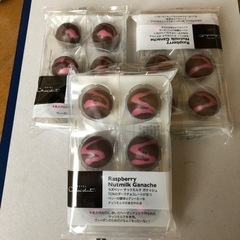 【ネット決済・配送可】ホテルショコラ チョコレート ラズベリー ...