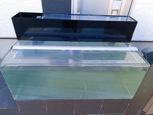 取引中】巨大180cm水槽セット