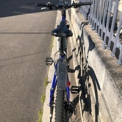 マウンテンバイク、函館！