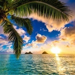 ハワイに一度は行ってみませんか？🏝