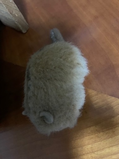 やまね