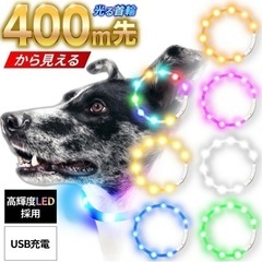 光る首輪　充電式　犬　首輪　