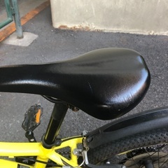 GIANT XTC JR 20 LITE 子供用自転車 20インチ