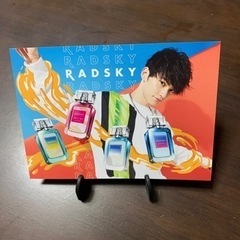 【ネット決済・配送可】SKY-HI   カード   RADSKY...