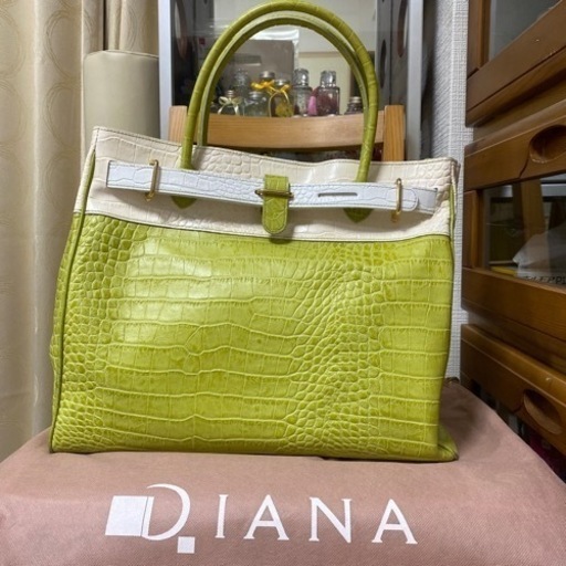 未使用品　DIANAバック（お値下げします）