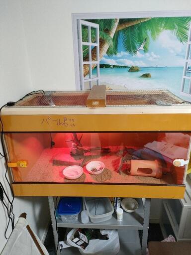 爬虫類飼育ゲージ