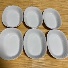 カレー皿　6枚