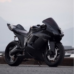 【ネット決済・配送可】Kawasaki ninja zx6r z...