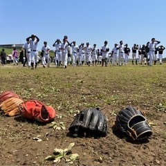 ⭐️7月2日（土）楽しく野球しましょ〜‼️⭐️ - スポーツ