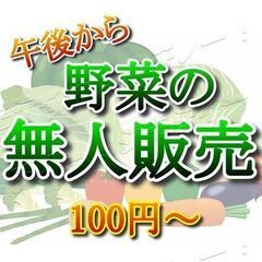 ⭕️【無人販売】7月🕗朝から営業(24時間)　旬のお野菜　100...