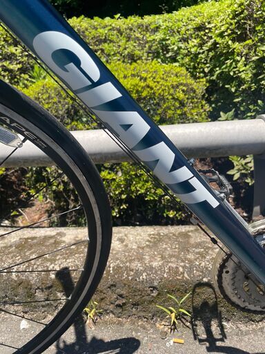 2025年モデル】モデルチェンジした人気クロスバイク、GIANT ESCAPE R 