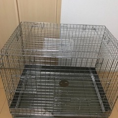 うさぎの飼育セット^_^