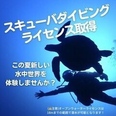 【横浜/大倉山】体験ダイビング・ダイビングライセンスの取得  【...