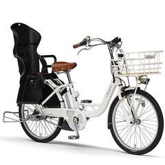 ☆新品　ディズニー　パスクルー　特価