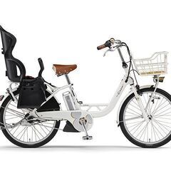 ☆新品　ディズニー　パスクルー　特価