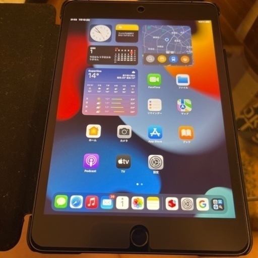 iPad mini 5世代　256 Wi-Fiモデル