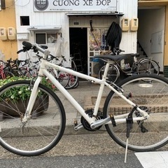 クロスバイク 3x7変速 白い シマノ 700c タイヤ新品