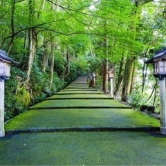 ✨⛩石川 白山比咩神社 禊体験⛩✨