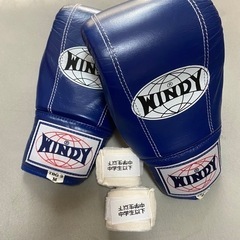 【美品】ウィンディ　ボクシンググローブ　キッズ　Mサイズ　ブルー