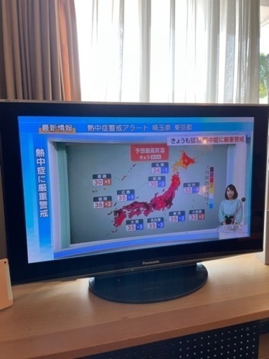 パナソニックビエラ42型Panasonic VIERA V1 TH-P42V1