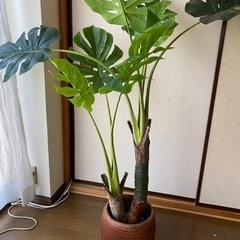 観葉植物　フェイクグリーン(モンステラ) 140cm 植木鉢付き
