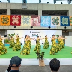 【フラダンス体験レッスン】ハワイで伝統あるお教室の日本分校でレッスンを体験の画像