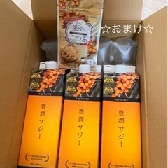 【新品未開封】フィネス 豊潤サジー　1000ml 3本セット☆オ...