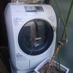 洗濯機、植木
