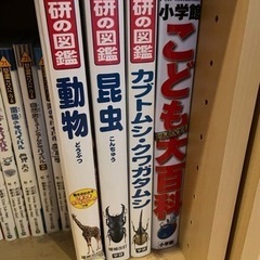 学研の図鑑　動物　昆虫　カブトムシ　クワガタムシ　3冊セット