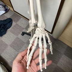 人体模型パート2