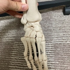 人体模型パート2