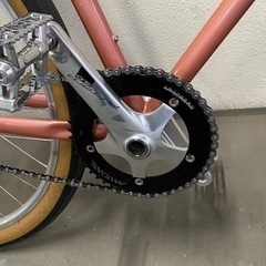 サーリースチームローラー　49センチ