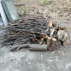 薪　伐採木　丸太　原木　BBQ　焚き火　木炭材料　無料